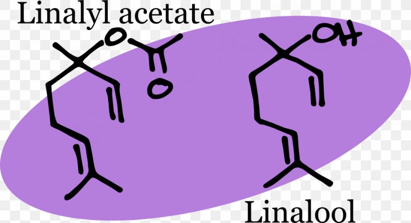 Lavender Oil Linalyl Acetate Chemical Compound Chemist, PNG, 957x520px, Watercolor, Cartoon, Flower, Frame, Heart Download Free