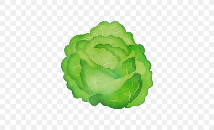 Watercolor Flower Background, PNG, 500x500px, Watercolor, Cabbage, Cartoon, Chinese Cabbage, Curly Kale Download Free