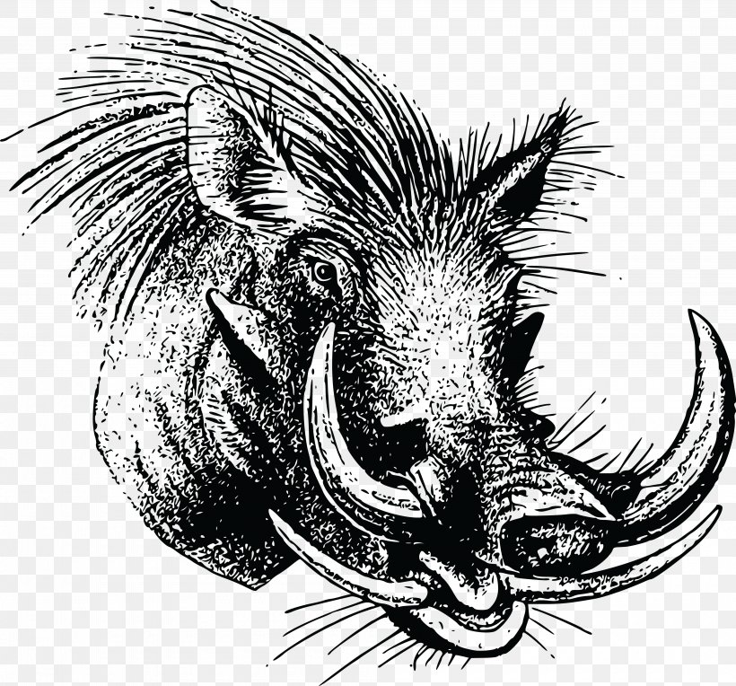 Wild Boar Common Warthog Clip Art, PNG, 4000x3727px, Wild Boar, Animal, Black And White, Common Warthog, Drawing Download Free