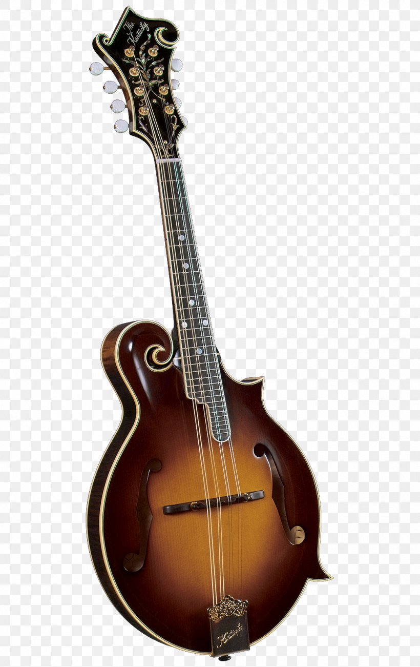 Amazon.com Mandolin Musical Instruments Bluegrass F-lyuk, PNG, 1008x1600px, Watercolor, Cartoon, Flower, Frame, Heart Download Free