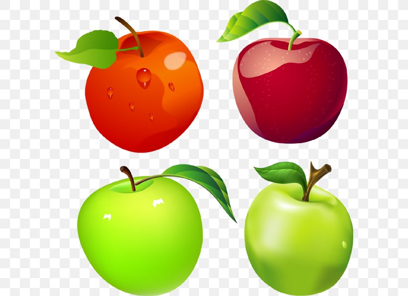 Apple Royalty-free Clip Art, PNG, 600x596px, Apple, Accessory Fruit, Acerola, Acerola Family, Apples And Oranges Download Free