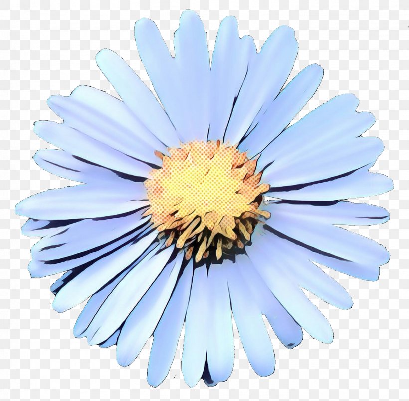 Common Daisy Chrysanthemum Flower Oxeye Daisy, PNG, 1413x1386px, Common Daisy, Aster, Asterales, Barberton Daisy, Camomile Download Free