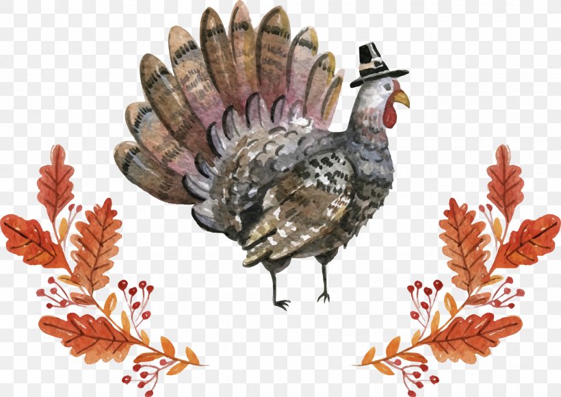 Turkey Euclidean Vector Thanksgiving, PNG, 1966x1391px, Turkey, Beak, Christmas, Domesticated Turkey, Fauna Download Free