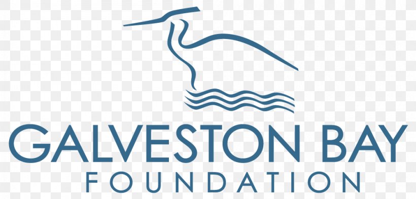 Galveston Bay Foundation Clear Lake Non-profit Organisation, PNG, 1000x480px, Galveston Bay, Area, Bay, Beak, Blue Download Free