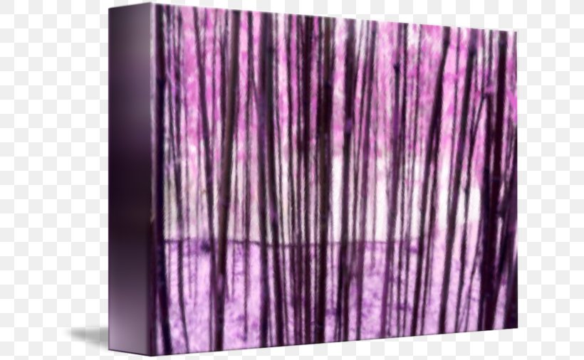 Wood Purple /m/083vt, PNG, 650x506px, Wood, Purple, Violet Download Free