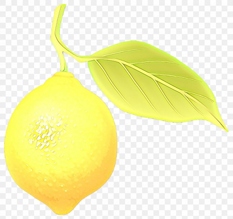 Lemon Citron Citric Acid Citrus, PNG, 3000x2822px, Lemon, Acid, Citric Acid, Citron, Citrus Download Free