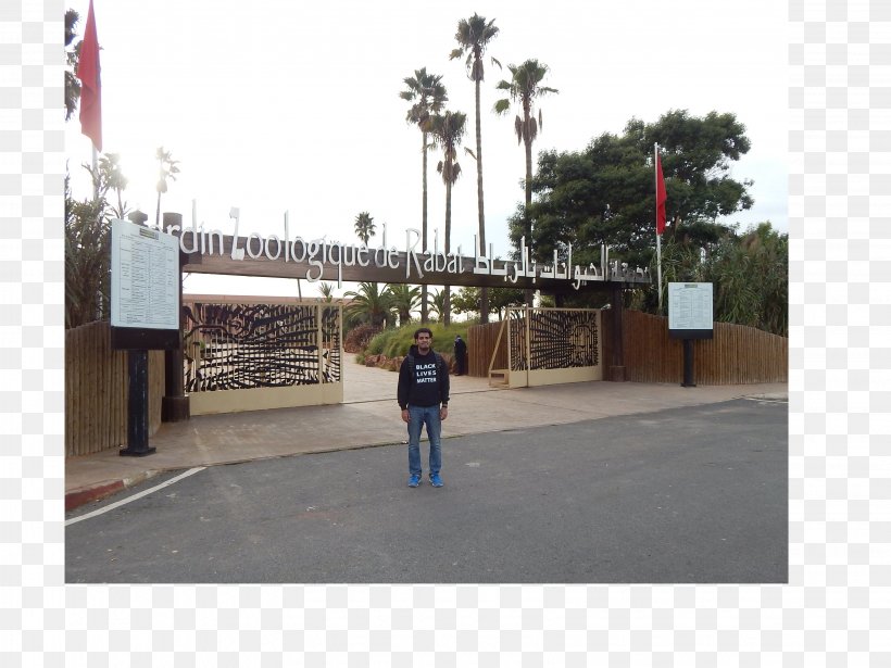 Transport Pedestrian Property Boardwalk Asphalt, PNG, 3264x2448px, Transport, Asphalt, Boardwalk, Infrastructure, Lane Download Free