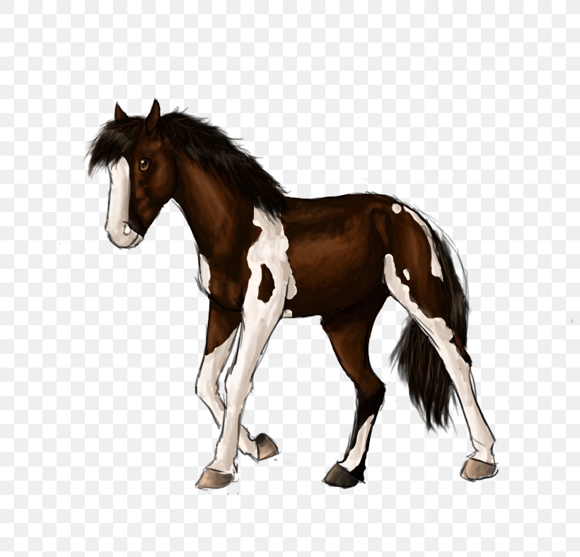 Clydesdale Horse Friesian Horse Appaloosa Stallion Schleich, PNG, 800x788px, Clydesdale Horse, Animal, Animal Figure, Appaloosa, Breed Download Free