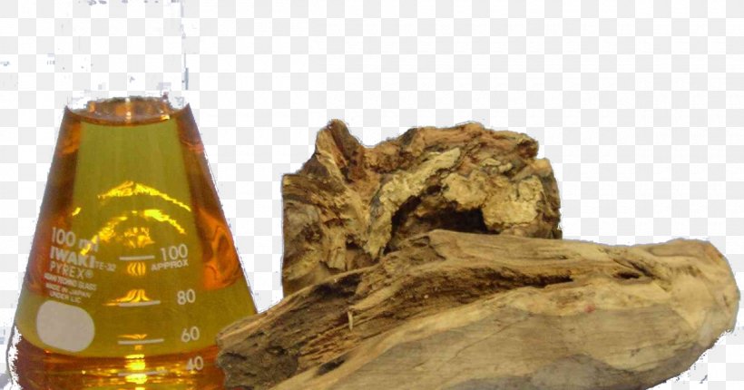 Indian Sandalwood Australian Sandalwood Sandalwood Oil Essential Oil, PNG, 1200x630px, Indian Sandalwood, Aroma Compound, Australian Sandalwood, Essential Oil, Glass Bottle Download Free