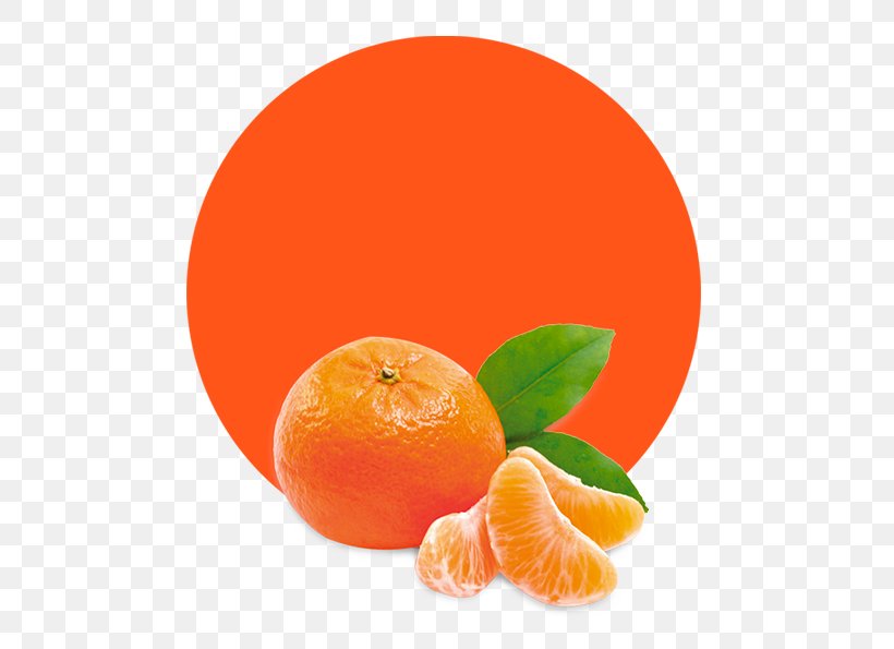Mandarin Orange Tangerine Juice Marmalade, PNG, 536x595px, Mandarin Orange, Bitter Orange, Citric Acid, Citrus, Clementine Download Free