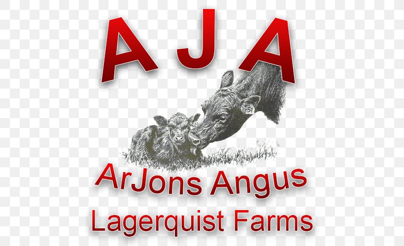 Angus Cattle Calf Logo Font Brand, PNG, 500x500px, Angus Cattle, Brand, Calf, Cattle, Logo Download Free