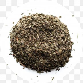 Tea - Chia Seed Poppy Seed Tea PNG
