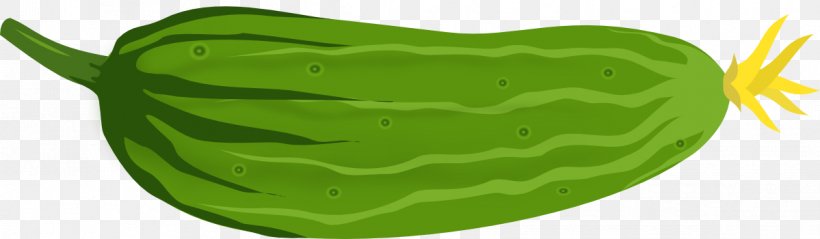 Cucumber Clip Art Vector Graphics JPEG, PNG, 1199x350px, Cucumber, Drawing, Field Pumpkin, Food, Fruit Download Free