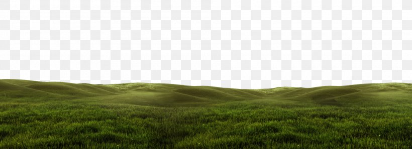 Grassland Prairie Vegetation Meadow Steppe, PNG, 1920x700px, Grassland, Ecoregion, Ecosystem, Field, Grass Download Free