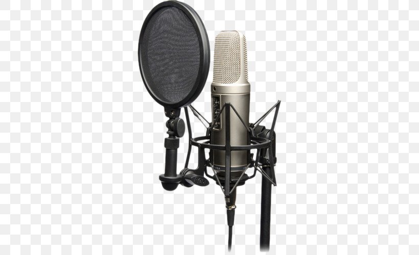 Røde Microphones RØDE NT2-A Recording Studio Shock Mount, PNG, 500x500px, Watercolor, Cartoon, Flower, Frame, Heart Download Free