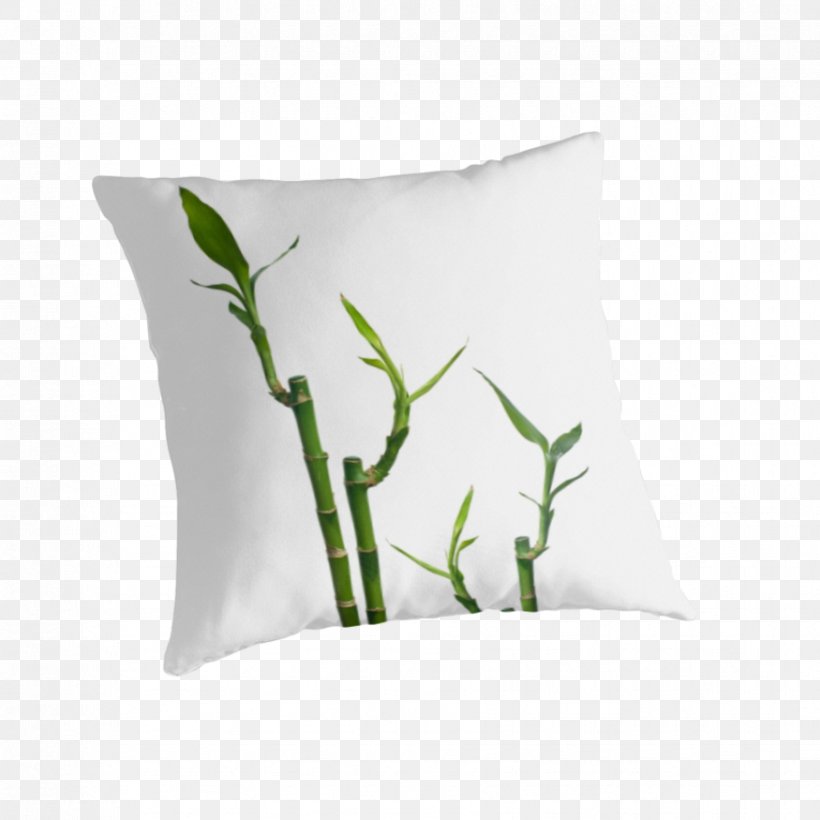 Throw Pillows Plant, PNG, 875x875px, Throw Pillows, Pillow, Plant, Throw Pillow Download Free
