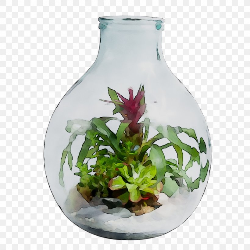 Vase Plants Glass Unbreakable, PNG, 1062x1062px, Vase, Artifact, Flower, Glass, Nepenthes Download Free