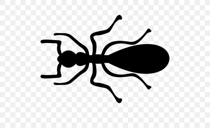 Ant Insect, PNG, 716x501px, Ant, Black, Black And White, Black Garden Ant, Fly Download Free