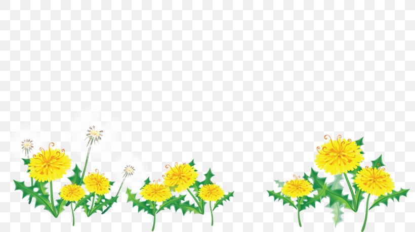 Border Flowers Clip Art, PNG, 800x459px, Border Flowers, Art, Branch, Chrysanths, Cut Flowers Download Free