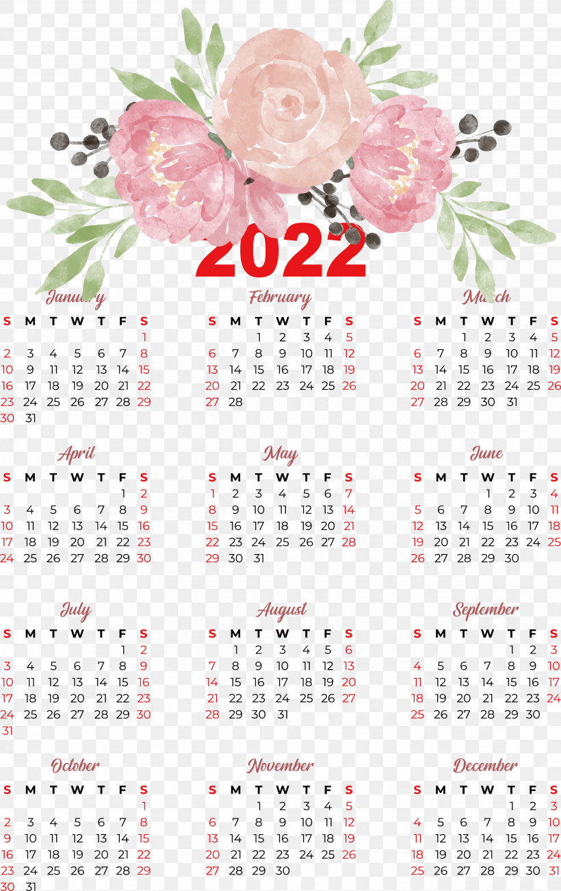 Flower Calendar Meter Plant Science, PNG, 3449x5473px, Flower, Biology, Calendar, Meter, Plant Download Free