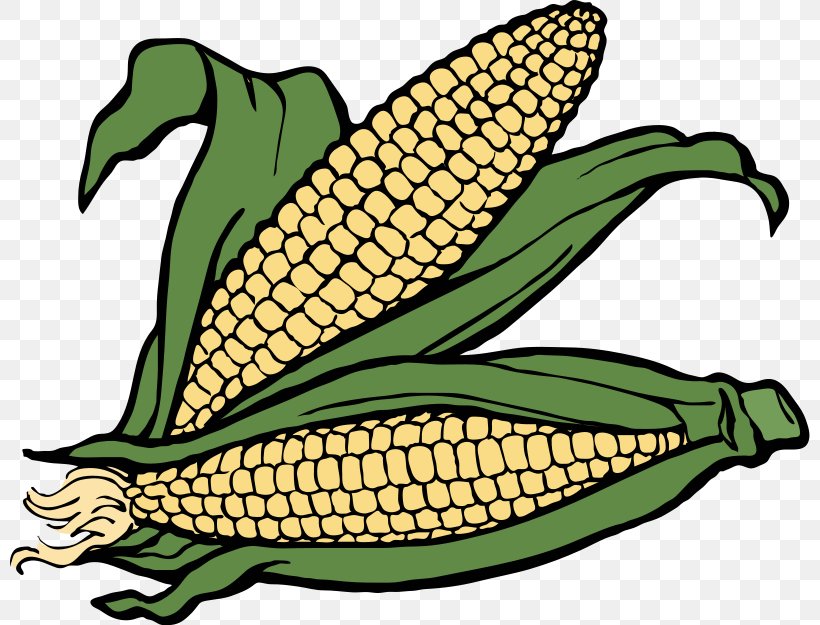 Free Content Maize Clip Art, PNG, 800x625px, Free Content, Blog, Commodity, Corn On The Cob, Corncob Download Free