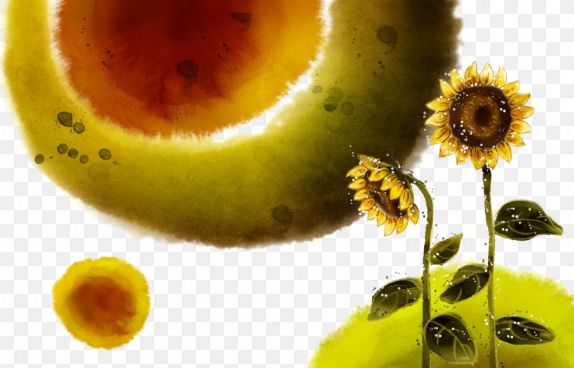 Illustration, PNG, 1000x642px, Flower, Common Sunflower, Fruit, Organism, Sunflower Download Free