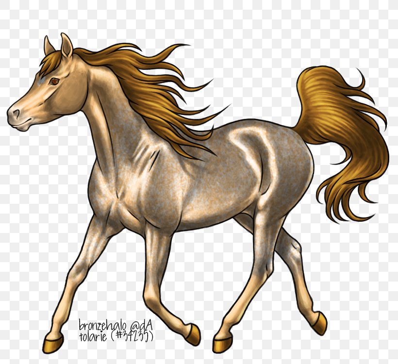 Mane Mustang Foal Stallion Colt, PNG, 800x750px, Mane, Bridle, Cartoon, Colt, Fictional Character Download Free