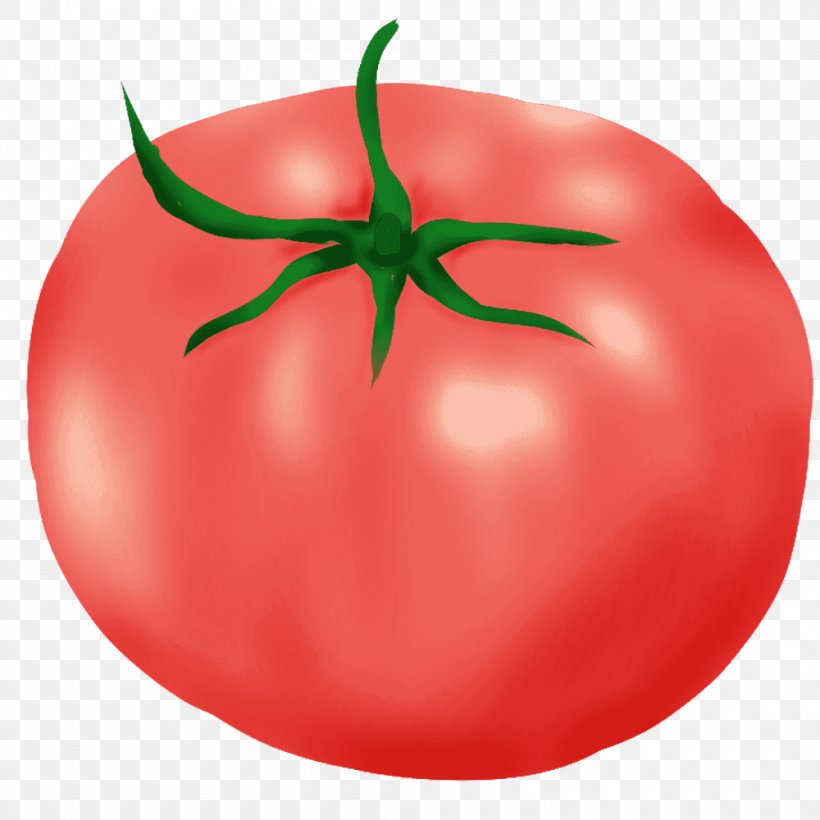 Plum Tomato Bush Tomato Budi Daya, PNG, 1000x1000px, Plum Tomato, Apple, Book Illustration, Budi Daya, Bush Tomato Download Free