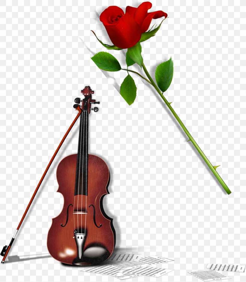 Violin Cello Download, PNG, 825x947px, Watercolor, Cartoon, Flower, Frame, Heart Download Free