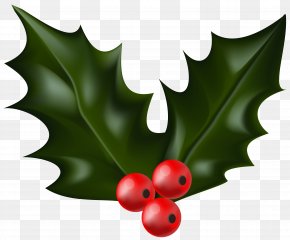 Christmas Holly Clip Art Image​