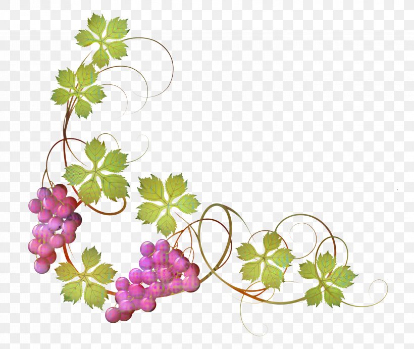 Common Grape Vine Red Wine Clip Art, PNG, 2997x2529px, Common Grape Vine, Botany, Branch, Floral Design, Flower Download Free
