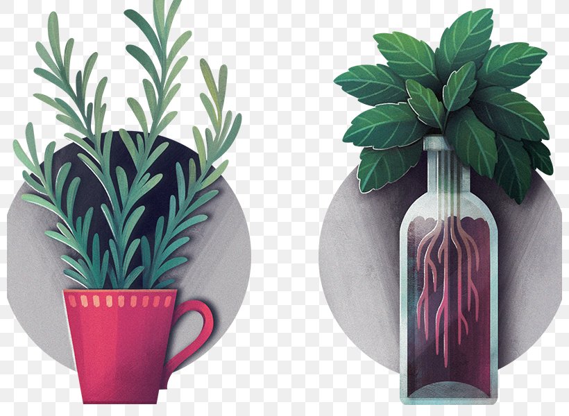 Flowerpot Penjing Image Green Horticulture, PNG, 800x600px, Flowerpot, Cactus, Garden, Green, Grey Download Free