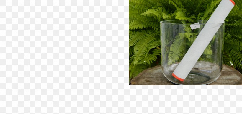 Grasses Plastic Water Herb Tree, PNG, 950x447px, Grasses, Family, Glass, Grass, Grass Family Download Free
