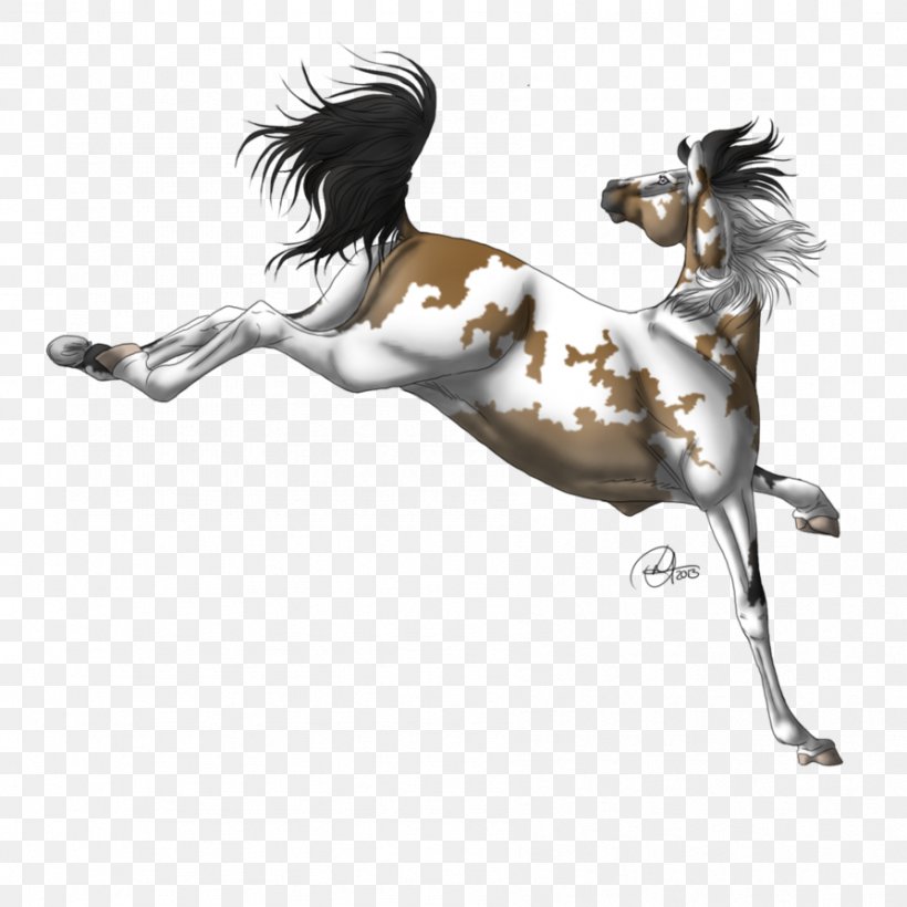 Mustang Stallion Halter Freikörperkultur, PNG, 894x894px, Mustang, Art, Halter, Horse, Horse Like Mammal Download Free