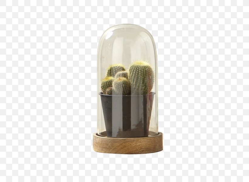 Socialite Decorative Arts Flowerpot Glass Furniture, PNG, 600x600px, Socialite, Artifact, Cactus, Decoration, Decorative Arts Download Free