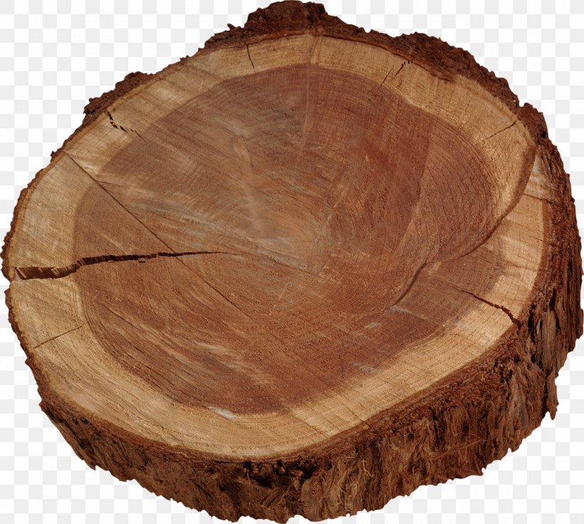 Tree Trunk Lumber, PNG, 1280x1148px, 2017, Tree, Blog, Cloud, Coconut Download Free