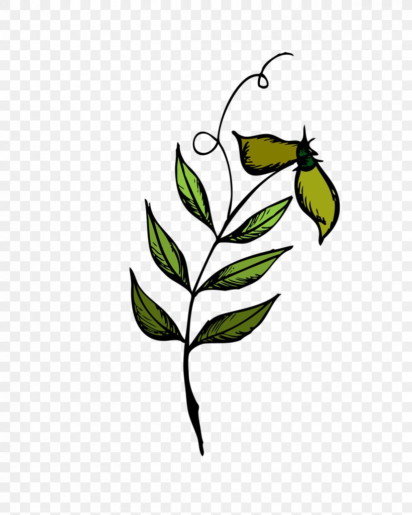 Twig Clip Art Plant Stem Flowering Plant Leaf, PNG, 1200x1500px, Twig, Artwork, Black And White, Branch, Flora Download Free