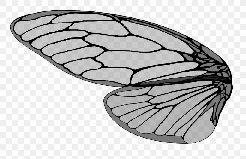 Ant Insect Wing Cicadidae, PNG, 960x620px, Ant, Auchenorrhyncha, Black And White, Butterfly, Cicadas Download Free