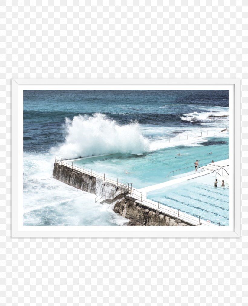 Bondi Beach Bondi Icebergs Club Bondi Icebergs POOL Swimming Pool, PNG, 830x1024px, Bondi Beach, Art, Beach, Bondi Icebergs Club, Coast Download Free