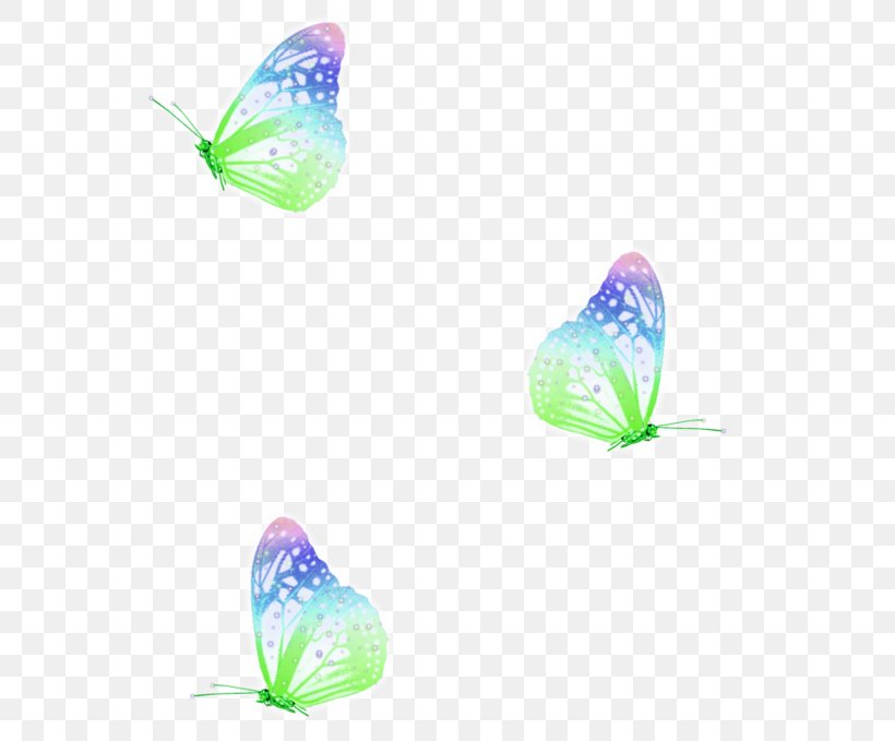 Butterfly Love Desktop Wallpaper Friendship, PNG, 600x679px, Butterfly, Anatomy, Butterflies And Moths, Friendship, Human Body Download Free