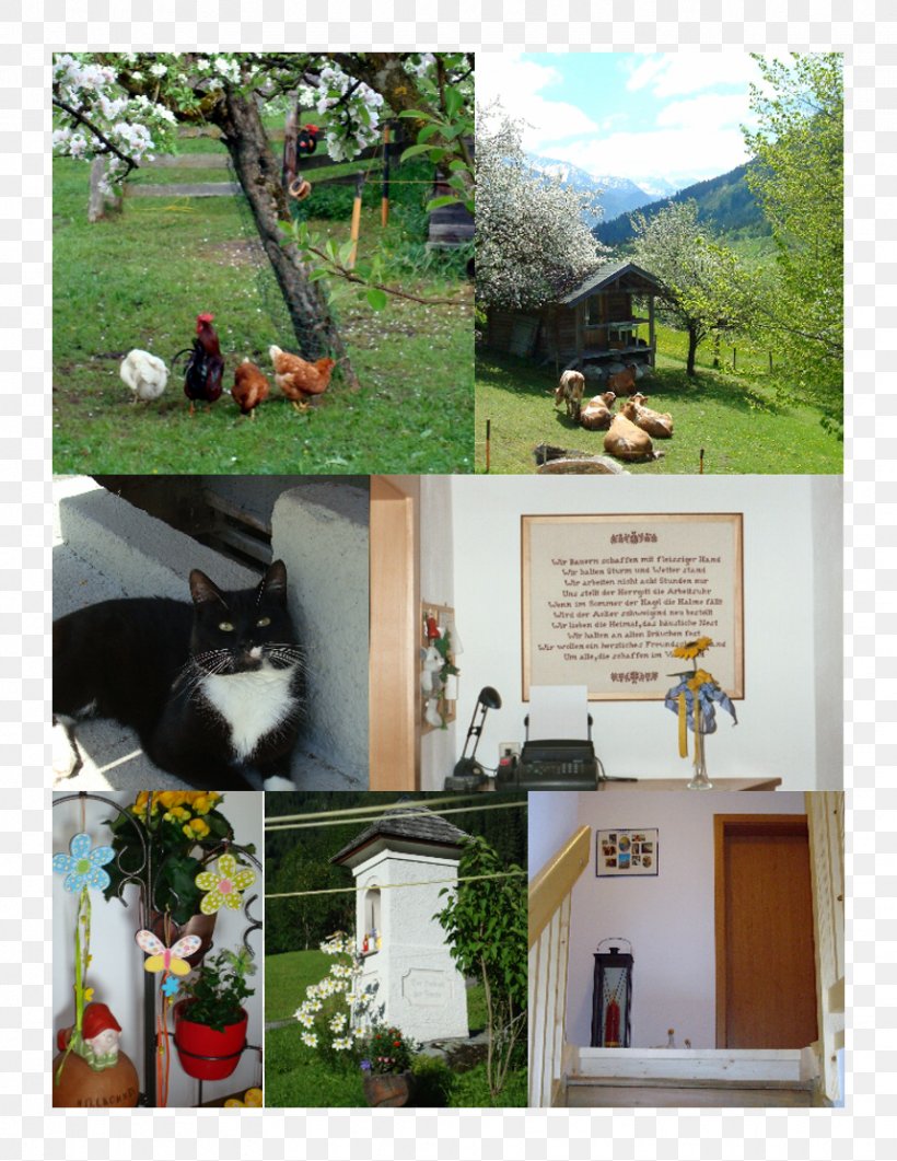 Obertauern Radstadt Salzburger Sportwelt Altenmarkt Im Pongau Schladming, PNG, 858x1111px, Obertauern, Flora, Flower, Grass, Hoher Dachstein Download Free