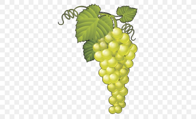 Sultana Common Grape Vine Wine Vector Graphics, PNG, 500x500px, Sultana, Common Grape Vine, Flowering Plant, Food, Fruit Download Free