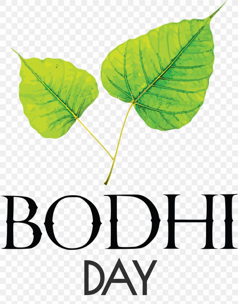 Bodhi Day Bodhi, PNG, 2342x3000px, Bodhi Day, Bodhi, Bodhi Tree Bodhgaya Bihar, Common Fig, Fig Leaf Download Free
