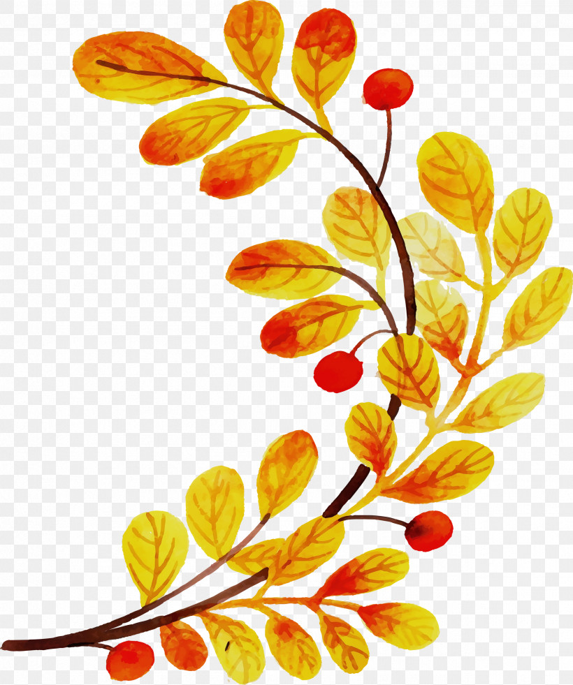 Floral Design, PNG, 2506x3000px, Autumn Leaf, Colorful Leaf, Flora, Floral Design, Paint Download Free