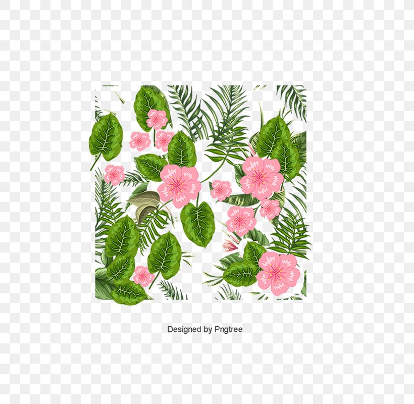 Flower Petal Vector Graphics Psd, PNG, 800x800px, Flower, Flowering Plant, Fruit, Grass, Leaf Download Free