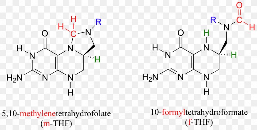Functional Group Aldehyde Chemical Reaction 10-Formyltetrahydrofolate Anion, PNG, 1184x600px, Functional Group, Aldehyde, Anion, Carbonate, Chemical Reaction Download Free