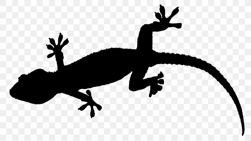 Gecko Frog Lizard Terrestrial Animal Fauna, PNG, 1920x1080px, Gecko, Amphibian, Animal, Animal Figure, Fauna Download Free