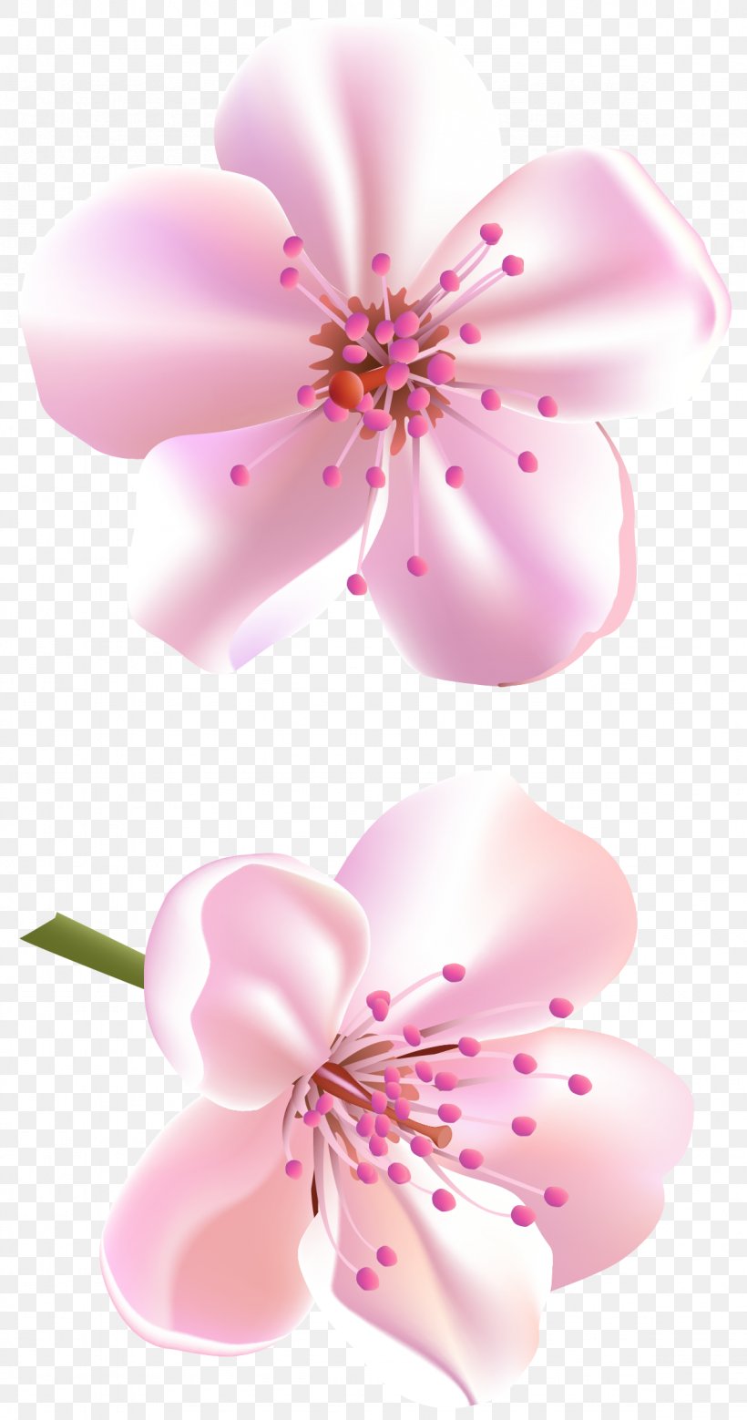 Pink Flowers Pink Flowers Clip Art, PNG, 1178x2241px, Flower, Blossom, Branch, Cherry Blossom, Close Up Download Free