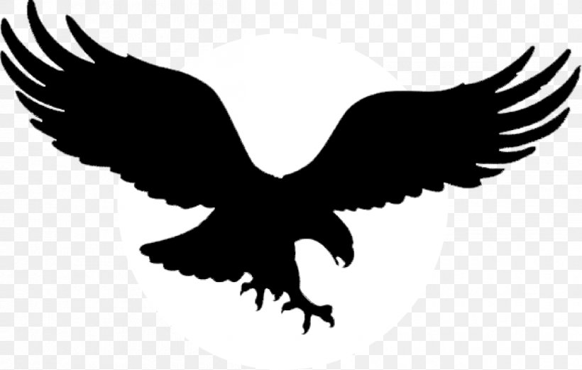 Bald Eagle Golden Eagle Tattoo Black Eagle, PNG, 1210x769px, Bald Eagle, Accipitriformes, Aluminium, Beak, Bird Download Free