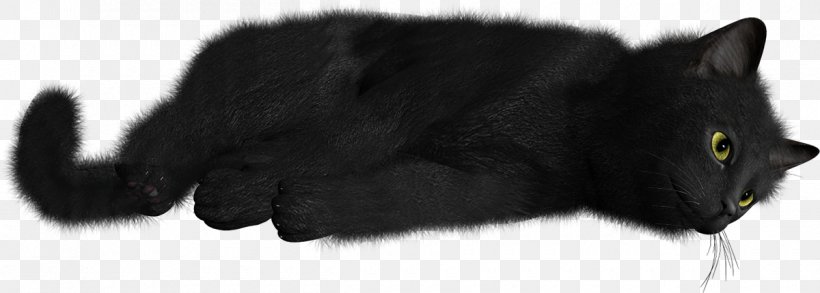 Black Cat Kitten Whiskers Domestic Short-haired Cat, PNG, 1200x430px, Black Cat, Black, Black And White, Black M, Bombay Download Free